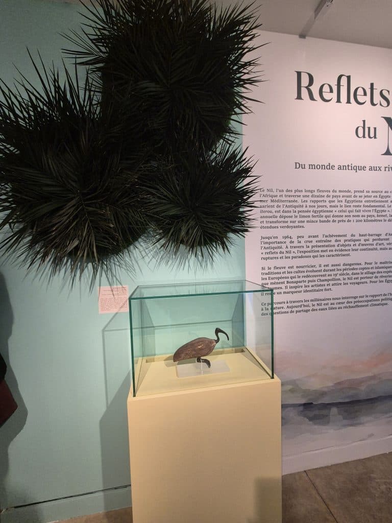«Reflets du Nil» - Photo 1